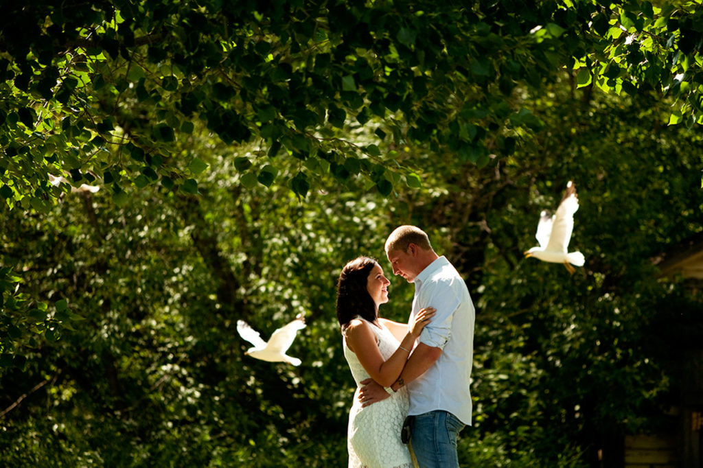 Para w objęciu w parku z dwoma białymi ptakami w locie